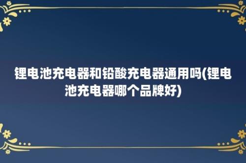 锂电池充电器和铅酸充电器通用吗(锂电池充电器哪个品牌好)