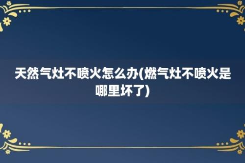 天然气灶不喷火怎么办(燃气灶不喷火是哪里坏了)