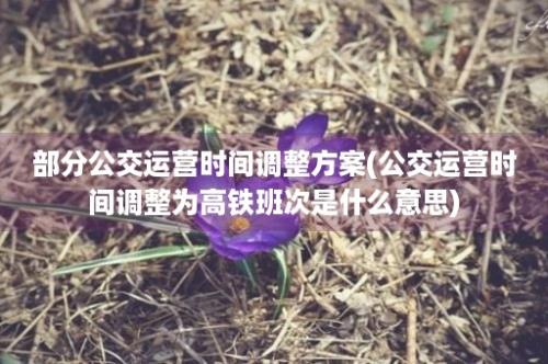 部分公交运营时间调整方案(公交运营时间调整为高铁班次是什么意思)