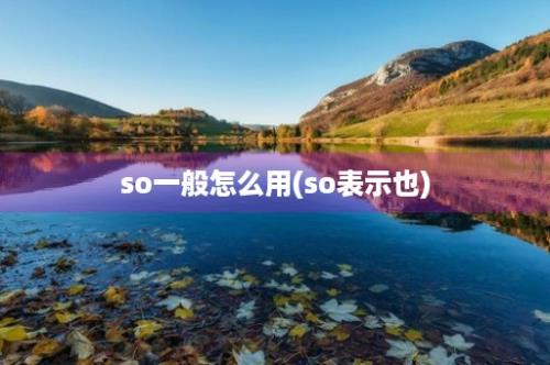 so一般怎么用(so表示也)