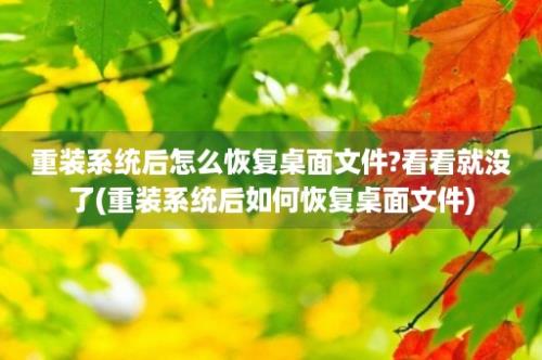 重装系统后怎么恢复桌面文件?看看就没了(重装系统后如何恢复桌面文件)