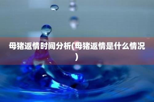 母猪返情时间分析(母猪返情是什么情况)