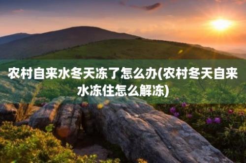 农村自来水冬天冻了怎么办(农村冬天自来水冻住怎么解冻)