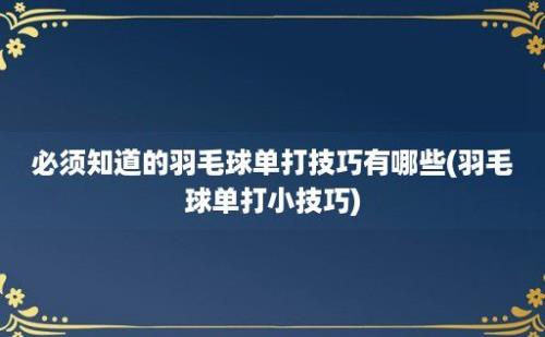 必须知道的羽毛球单打技巧有哪些(羽毛球单打小技巧)