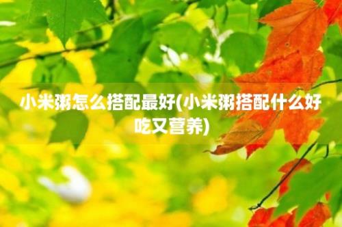 小米粥怎么搭配最好(小米粥搭配什么好吃又营养)