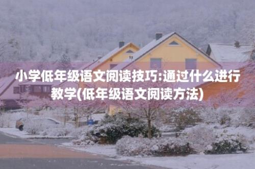 小学低年级语文阅读技巧:通过什么进行教学(低年级语文阅读方法)