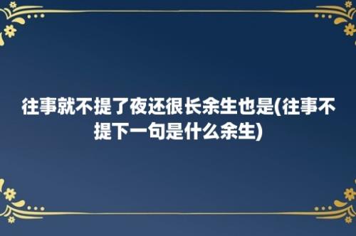 往事就不提了夜还很长余生也是(往事不提下一句是什么余生)