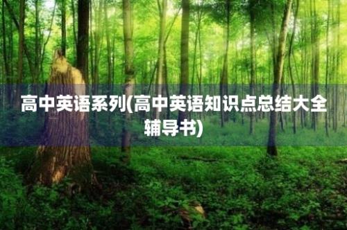 高中英语系列(高中英语知识点总结大全辅导书)