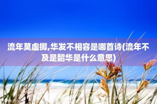 流年莫虚掷,华发不相容是哪首诗(流年不及是韶华是什么意思)