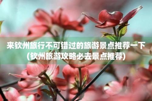 来钦州旅行不可错过的旅游景点推荐一下(钦州旅游攻略必去景点推荐)