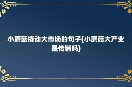 小蘑菇撬动大市场的句子(小蘑菇大产业是传销吗)