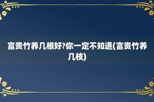 富贵竹养几根好?你一定不知道(富贵竹养几枝)