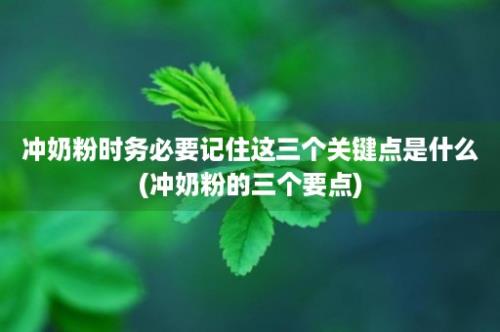 冲奶粉时务必要记住这三个关键点是什么(冲奶粉的三个要点)