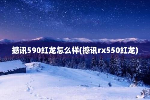 撼讯590红龙怎么样(撼讯rx550红龙)