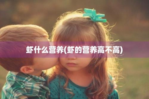 虾什么营养(虾的营养高不高)