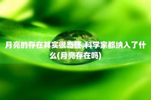 月亮的存在其实很奇怪,科学家都纳入了什么(月亮存在吗)