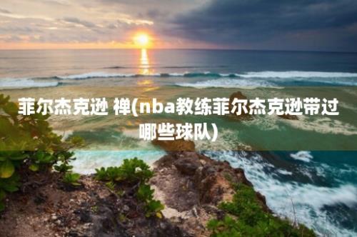 菲尔杰克逊 禅(nba教练菲尔杰克逊带过哪些球队)