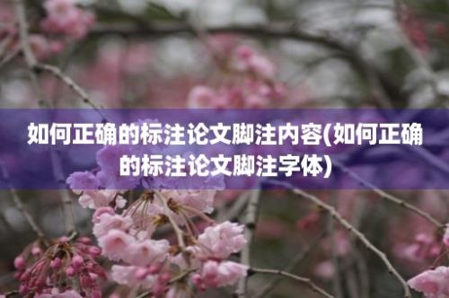 如何正确的标注论文脚注内容(如何正确的标注论文脚注字体)