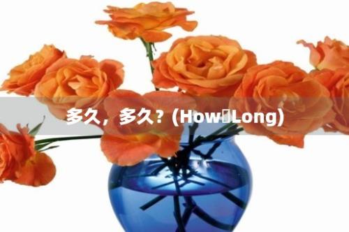 多久，多久？(How Long)