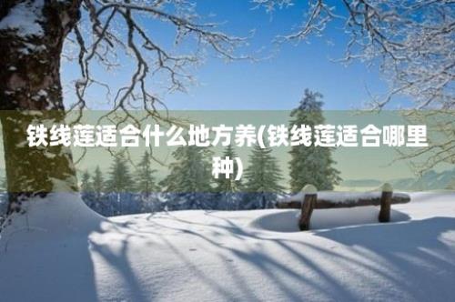 铁线莲适合什么地方养(铁线莲适合哪里种)