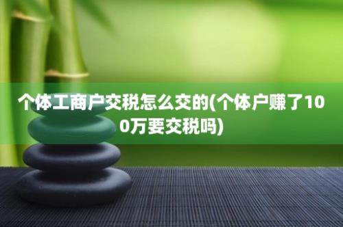 个体工商户交税怎么交的(个体户赚了100万要交税吗)