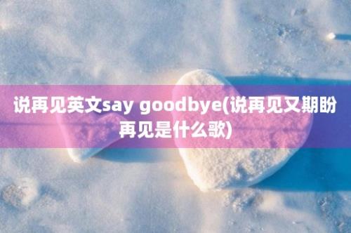 说再见英文say goodbye(说再见又期盼再见是什么歌)