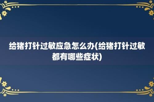 给猪打针过敏应急怎么办(给猪打针过敏都有哪些症状)