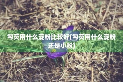 勾芡用什么淀粉比较好(勾芡用什么淀粉还是小粉)