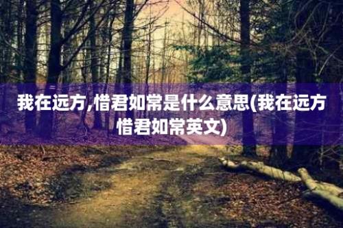 我在远方,惜君如常是什么意思(我在远方惜君如常英文)