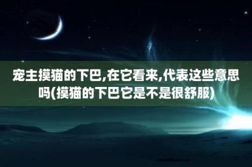 宠主摸猫的下巴,在它看来,代表这些意思吗(摸猫的下巴它是不是很舒服)