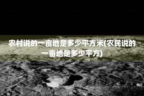 农村说的一亩地是多少平方米(农民说的一亩地是多少平方)