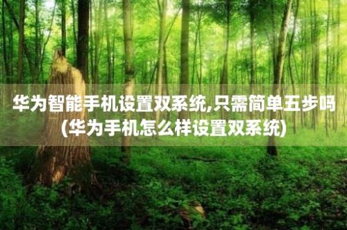 华为智能手机设置双系统,只需简单五步吗(华为手机怎么样设置双系统)