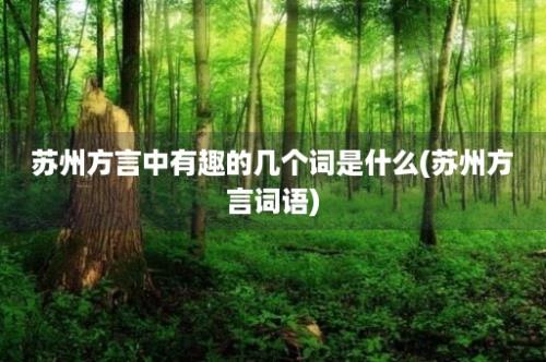 苏州方言中有趣的几个词是什么(苏州方言词语)