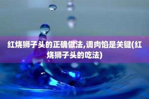 红烧狮子头的正确做法,调肉馅是关键(红烧狮子头的吃法)