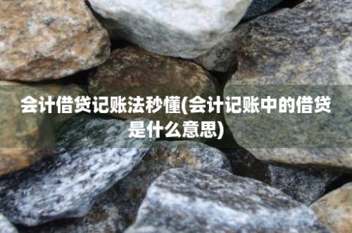 会计借贷记账法秒懂(会计记账中的借贷是什么意思)