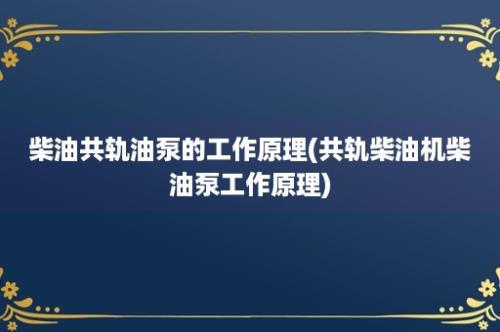 柴油共轨油泵的工作原理(共轨柴油机柴油泵工作原理)