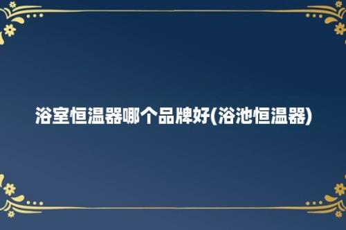 浴室恒温器哪个品牌好(浴池恒温器)