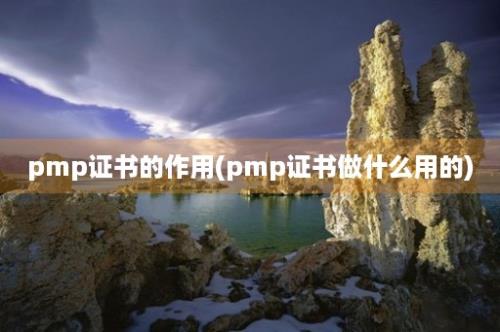 pmp证书的作用(pmp证书做什么用的)