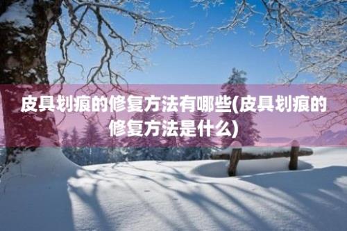 皮具划痕的修复方法有哪些(皮具划痕的修复方法是什么)