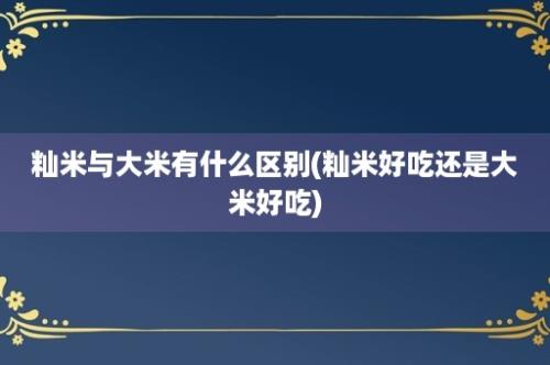 籼米与大米有什么区别(籼米好吃还是大米好吃)