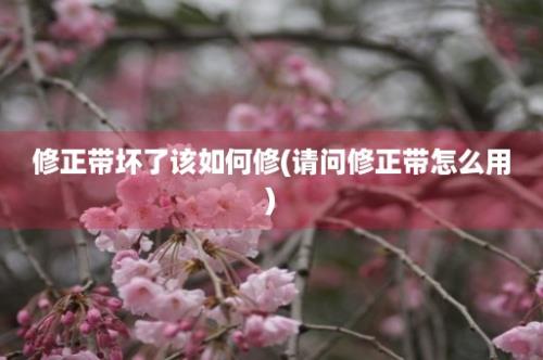 修正带坏了该如何修(请问修正带怎么用)