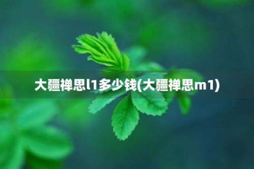 大疆禅思l1多少钱(大疆禅思m1)