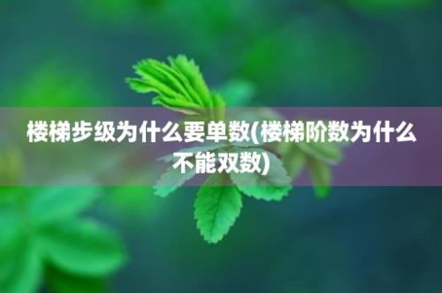 楼梯步级为什么要单数(楼梯阶数为什么不能双数)