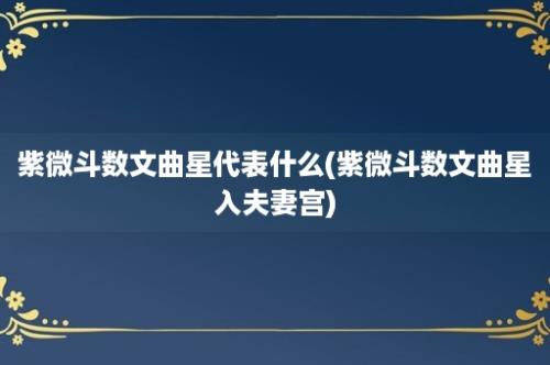 紫微斗数文曲星代表什么(紫微斗数文曲星入夫妻宫)