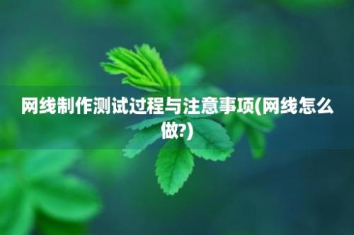 网线制作测试过程与注意事项(网线怎么做?)