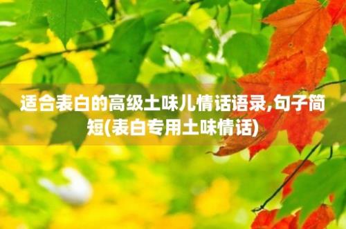 适合表白的高级土味儿情话语录,句子简短(表白专用土味情话)