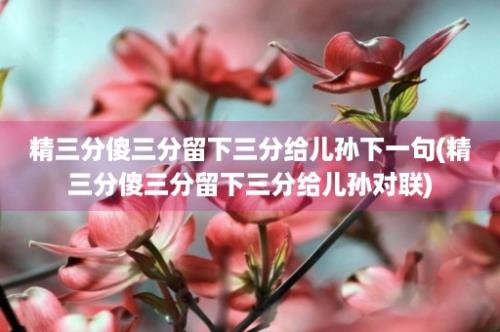 精三分傻三分留下三分给儿孙下一句(精三分傻三分留下三分给儿孙对联)