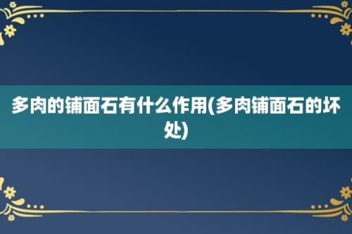 多肉的铺面石有什么作用(多肉铺面石的坏处)