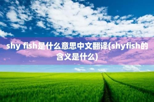 shy fish是什么意思中文翻译(shyfish的含义是什么)