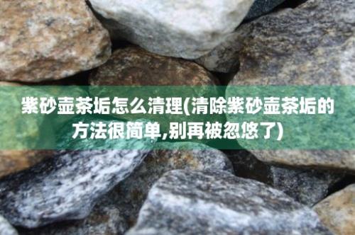 紫砂壶茶垢怎么清理(清除紫砂壶茶垢的方法很简单,别再被忽悠了)